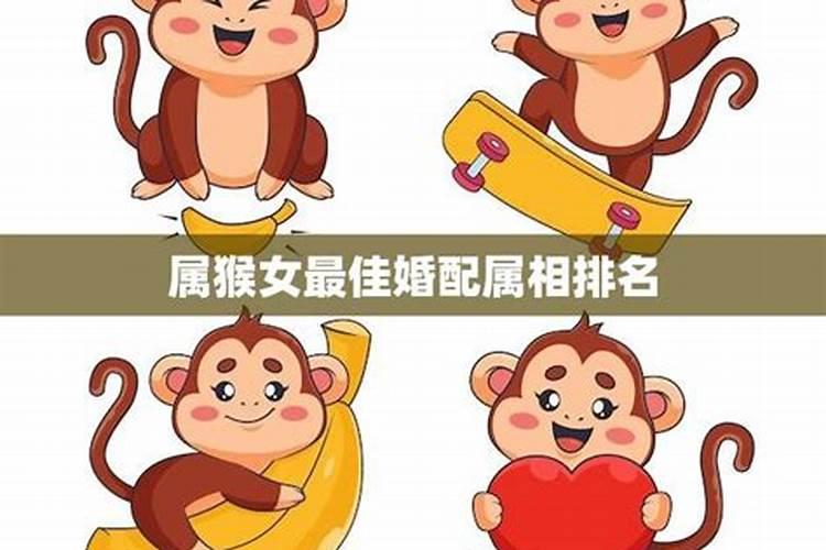 属猴与哪个属相婚配？