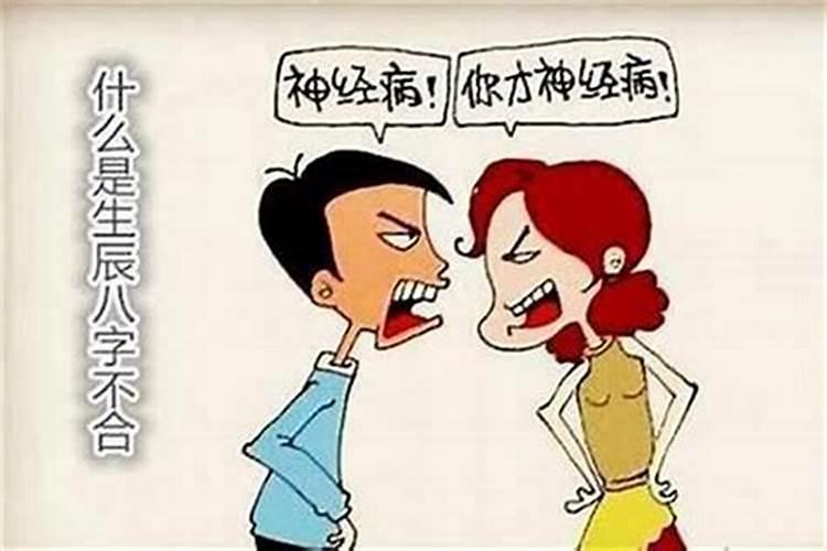 猪蛇八字不合女方父母反对