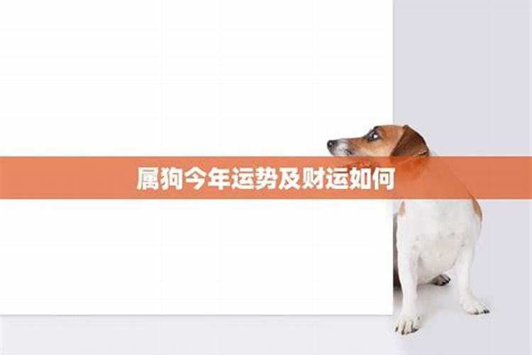71岁属狗今年运势