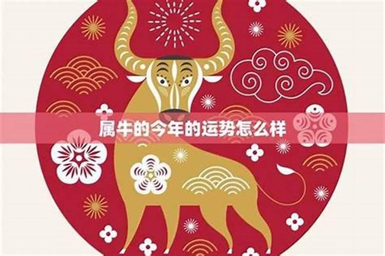 属牛九月份运程怎样？
