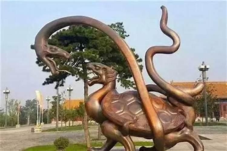 梦见两只乌龟一条蛇