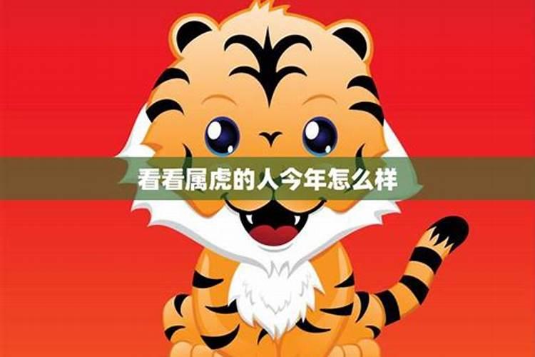 今年本命年财运怎么样呢属虎人？