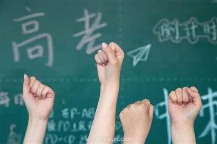 梦见儿子考上好大学