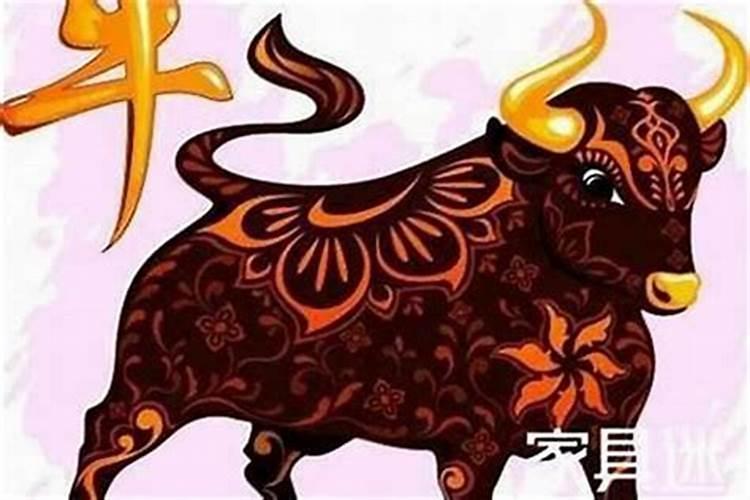 10月份出生的牛的运势