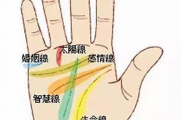 手掌的生命线是哪一条？