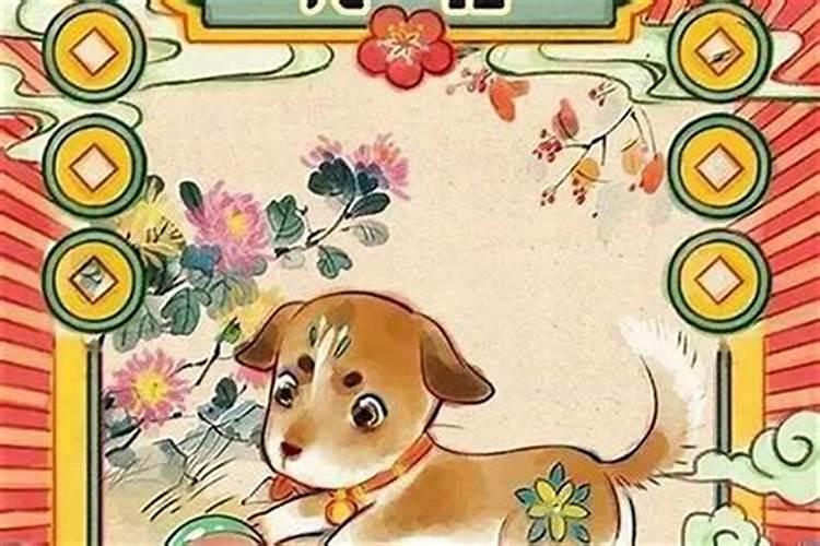 生肖狗在哪年的运势较好？