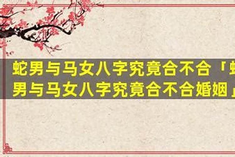 男马女蛇八字合不合
