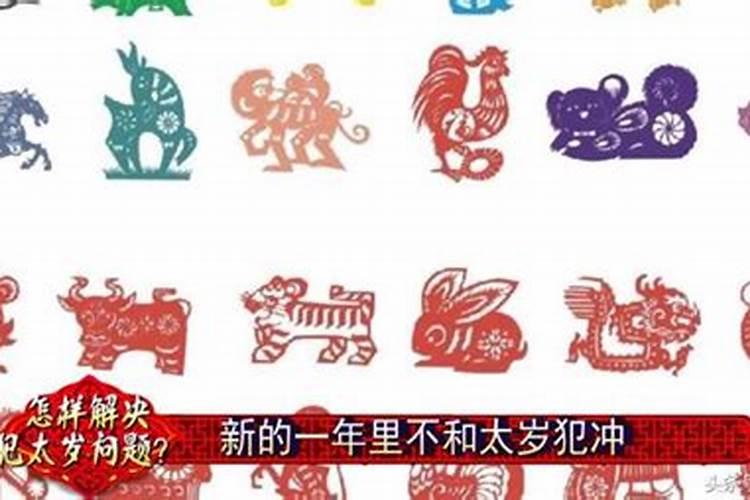 冲太岁会财运好吗？