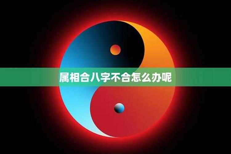 八字不合怎么能够在一起？
