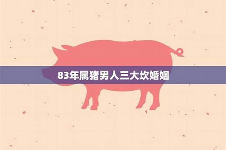 83年属猪人三大坎