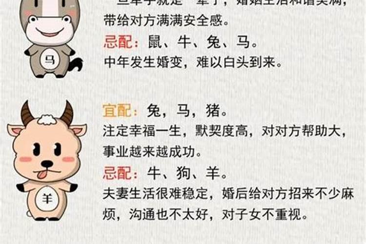 男属鸡女属马合婚吗？