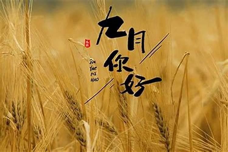 九月初九的人命运如何？