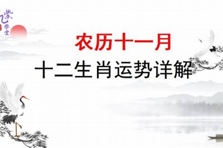 一九七七农历十一月初六运势如何？