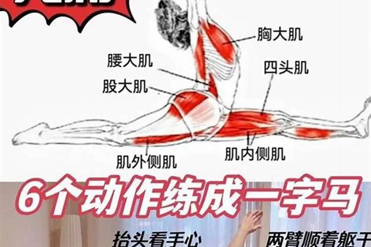 怎么说一字马合八字马？