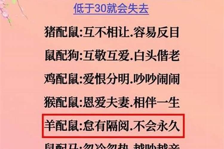 属相不合婚姻真的不好吗？