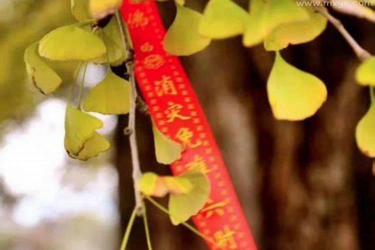 梦见家人死是什么预兆周公解梦？