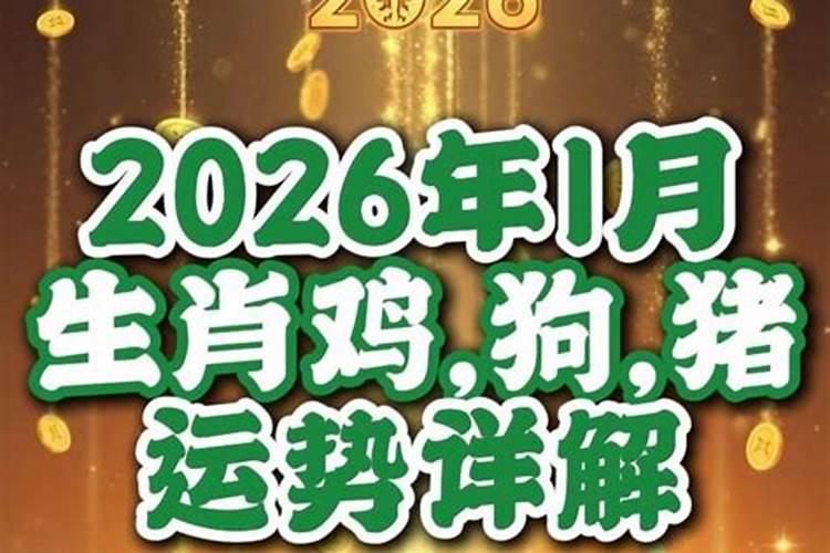 2026哪一个生肖运势好？