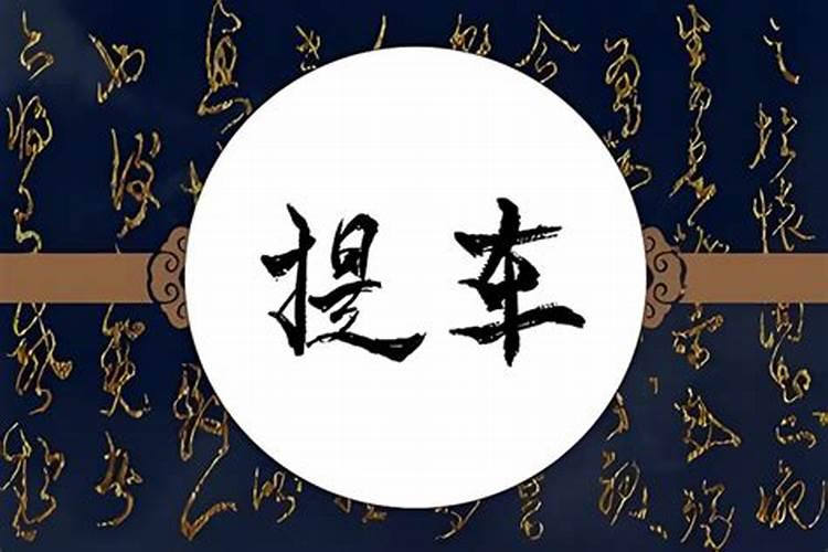 算八字看买车和不合适