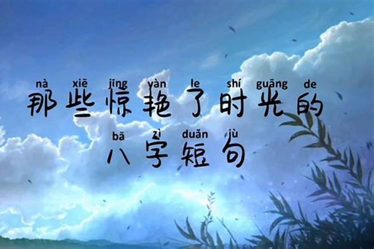 喜欢你八字不合