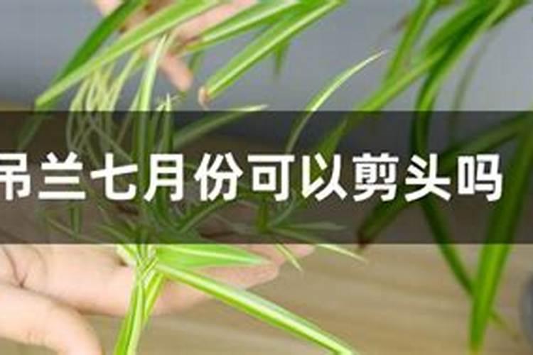 七月十五忌讳剪头吗？
