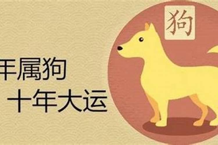 属狗人今年二月的运程
