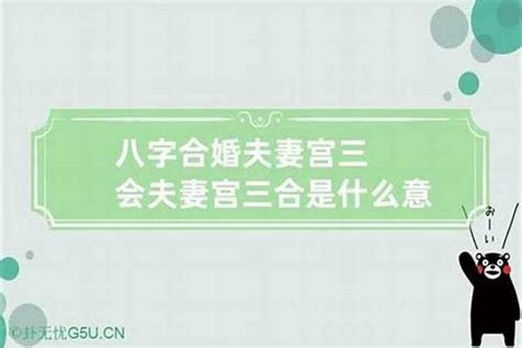 什么是合婚中的宫？