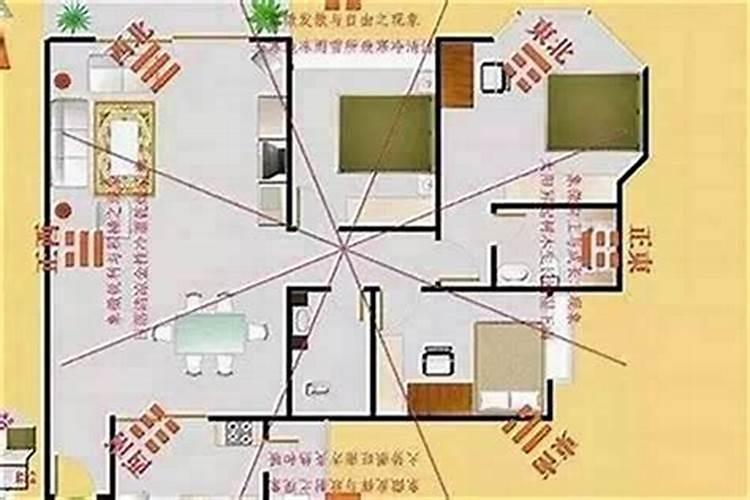 化解是非小人？在家种什么植物？？