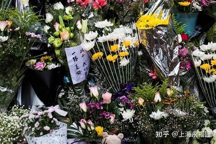 冬至上冬至上坟祭品