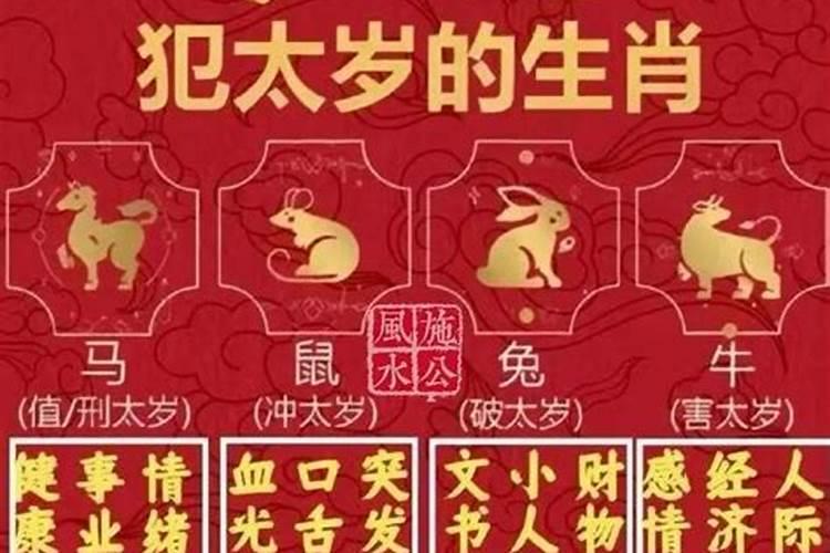 鼠年属兔人犯太岁怎么破？