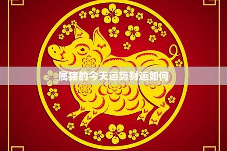 正月初五属猪财运如何？