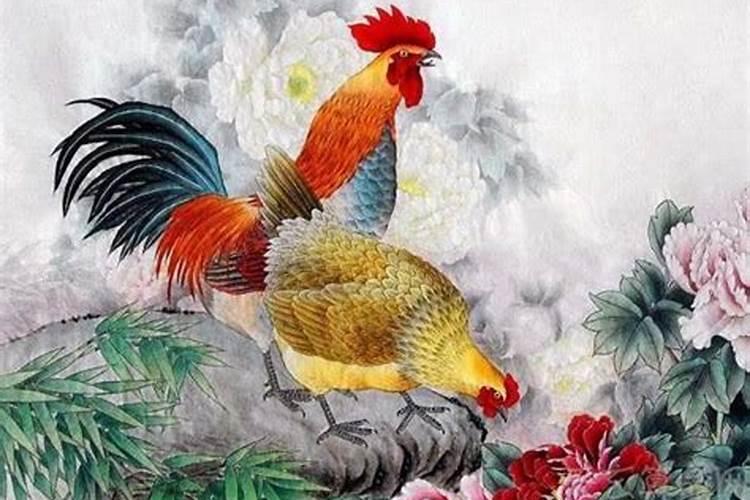 属鸡的本命年哪些冲太岁？