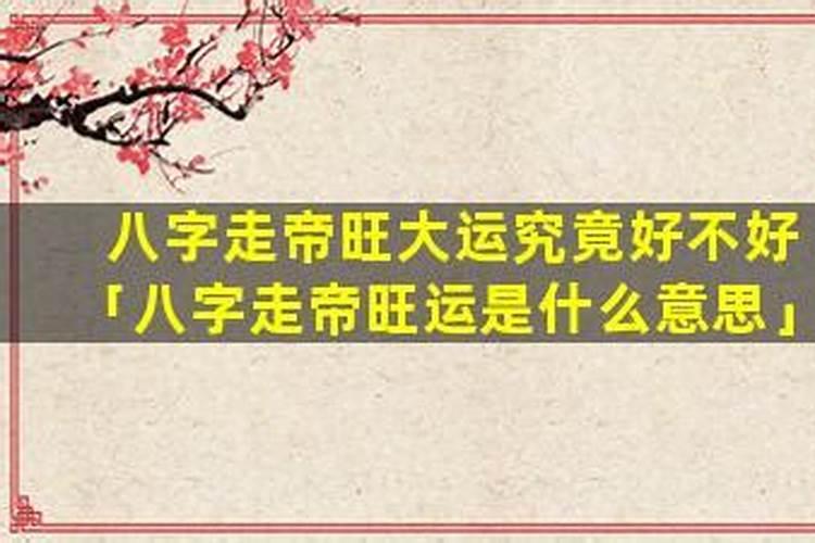 八字里帝旺运是什么意思？
