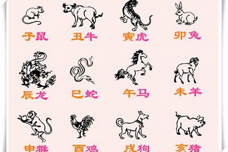 清明时节来闹热的生肖是哪个？