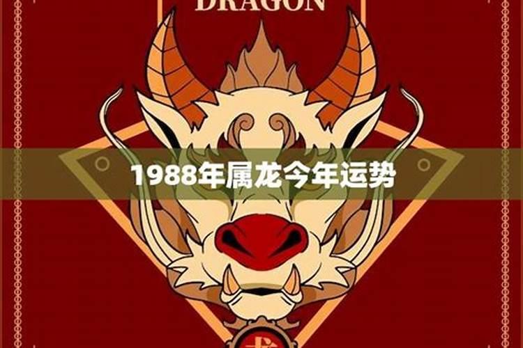 1988年出生的龙今年运势