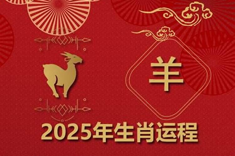 如何快速增加属羊运势？