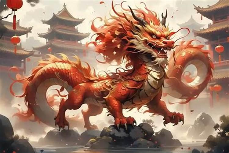 属龙人在鼠年运势如何？