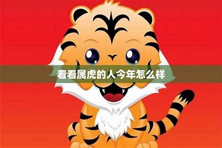 1980年属虎的今年运势