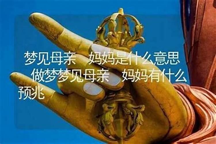 梦到母亲到我家来玩