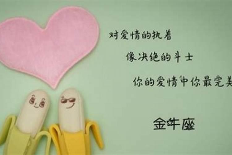 金牛男人对待真爱