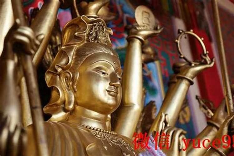 老河口哪里有算命的高人？