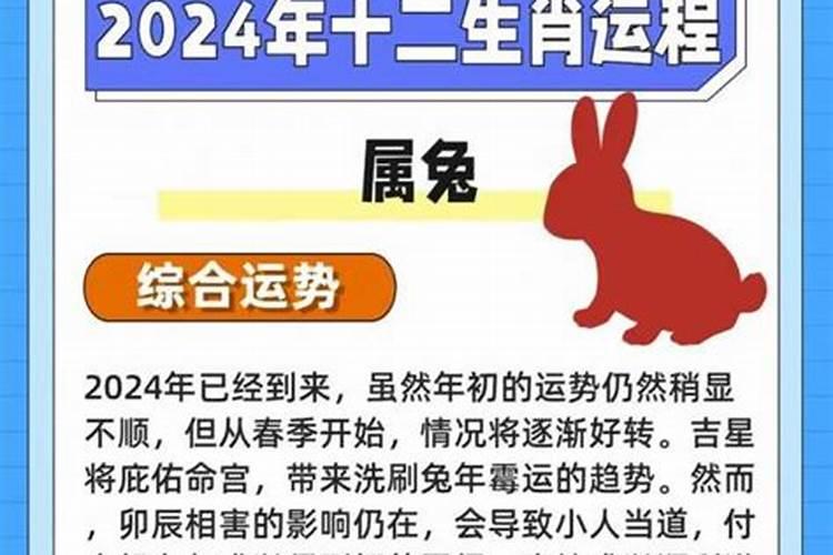 属兔人2026下半年运势运程