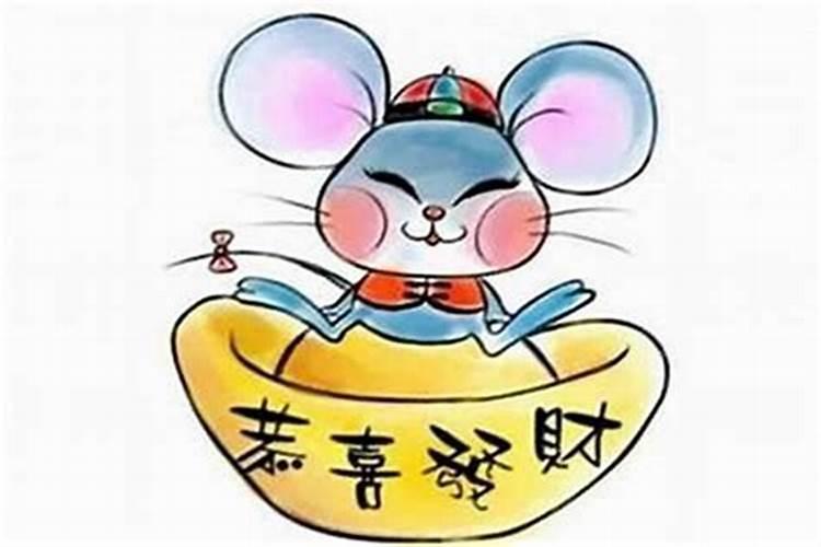 属鼠的人什么年犯太岁？