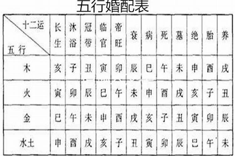 婚配五行和属相哪个重要？