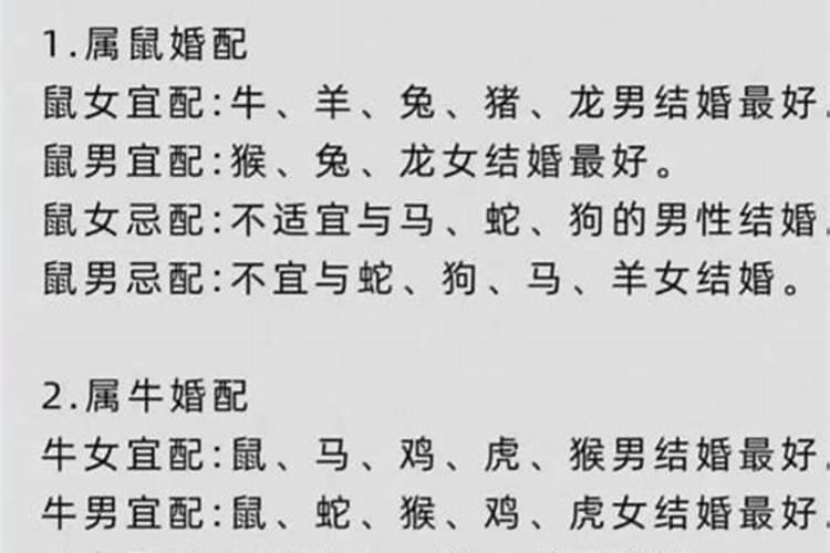 蛇男狗女合婚吗？