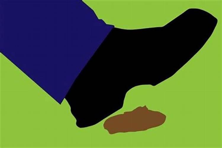 梦到公共厕所里踩到屎
