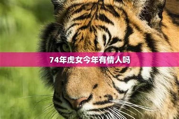 2026属虎7月运势如何？