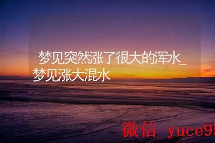 梦见大海水涨很高要冲过来