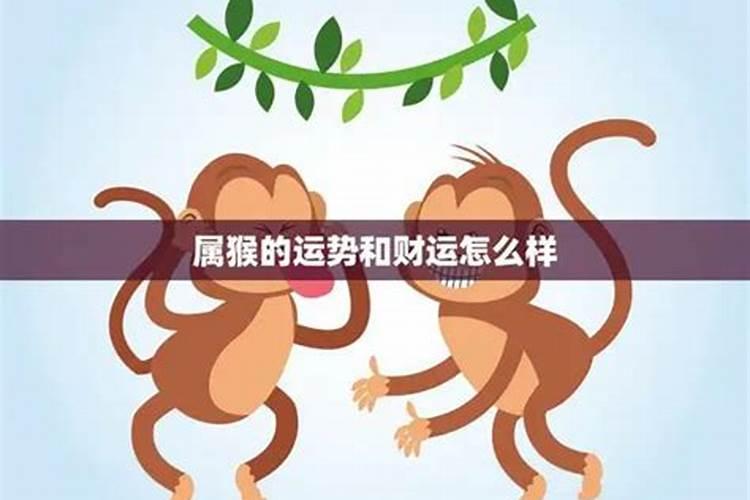 属猴今年运势怎么样？