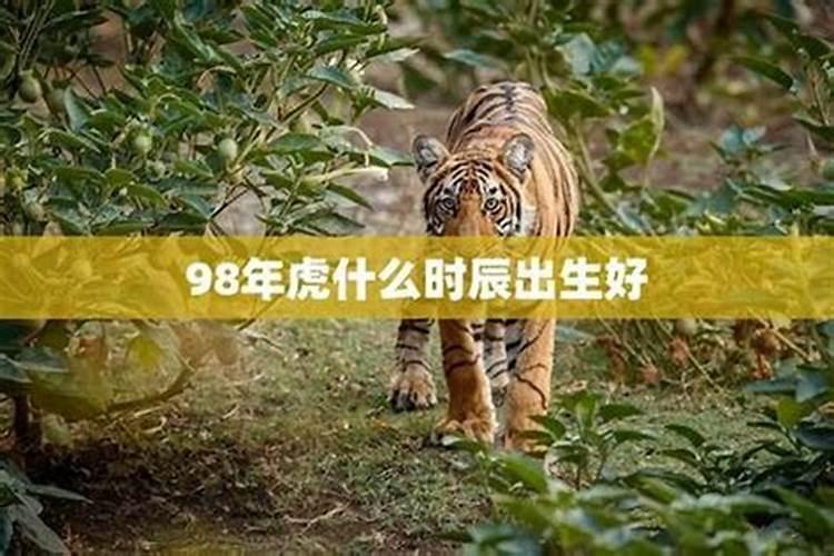十月初一出生的虎好吗？