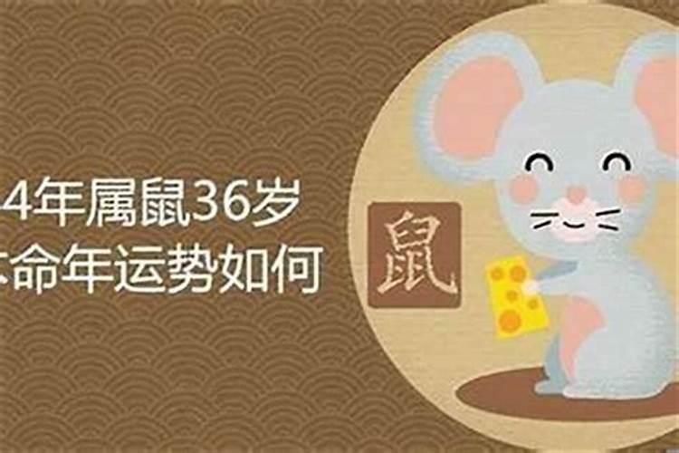 84年男性属鼠2026年运程